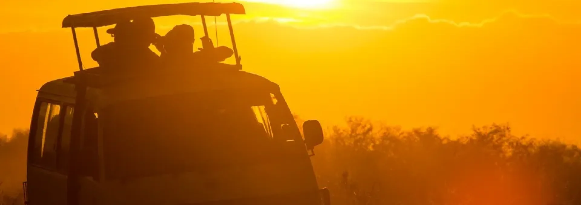 Safe Adventures and Expeditions travel banner showcasing wildlife and safari experiences